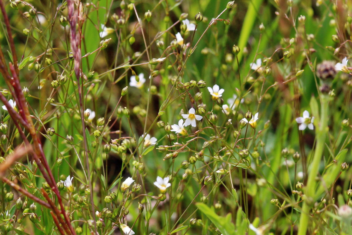 2014_06_15_00046503pa_Bildgr��e �ndern