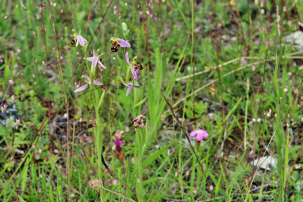 2014_06_15_00046507p_Bildgr��e �ndern