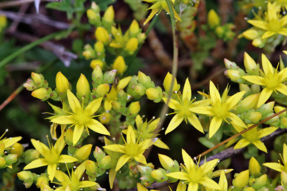 2014_06_15_00046515p_Bildgr��e �ndern