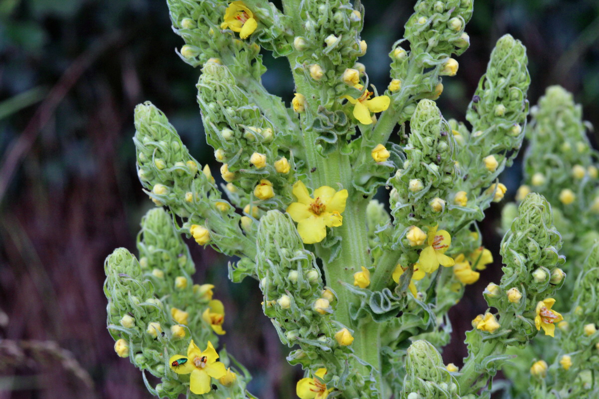 2014_06_15_00046521p_Bildgr��e �ndern