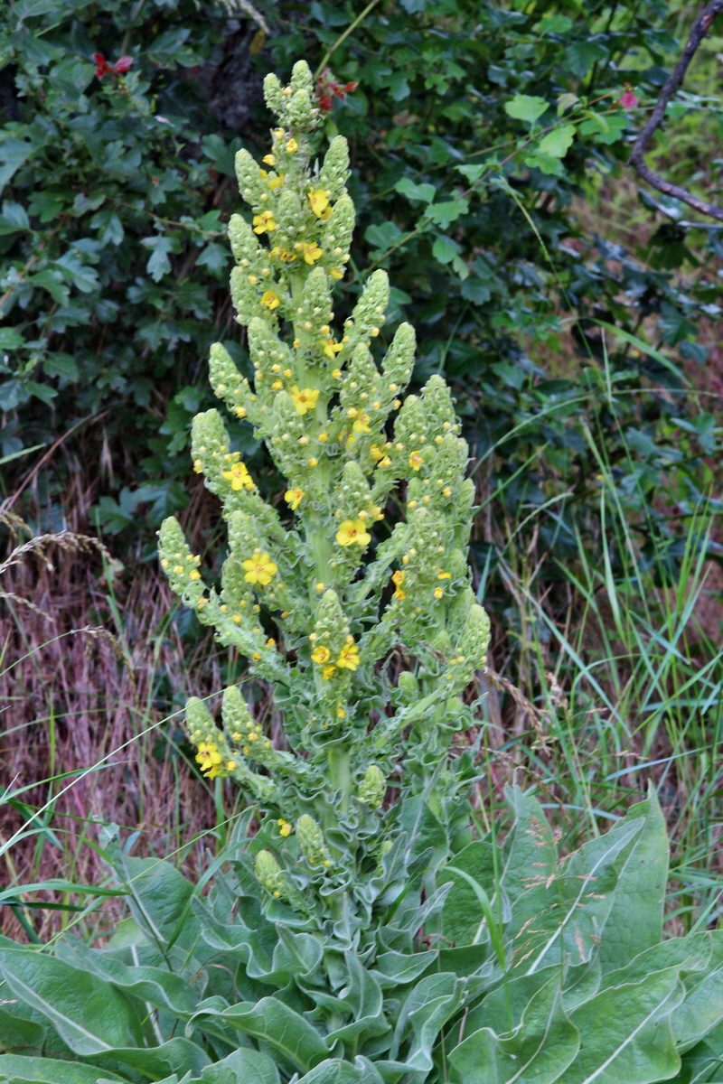 2014_06_15_00046524p_Bildgr��e �ndern