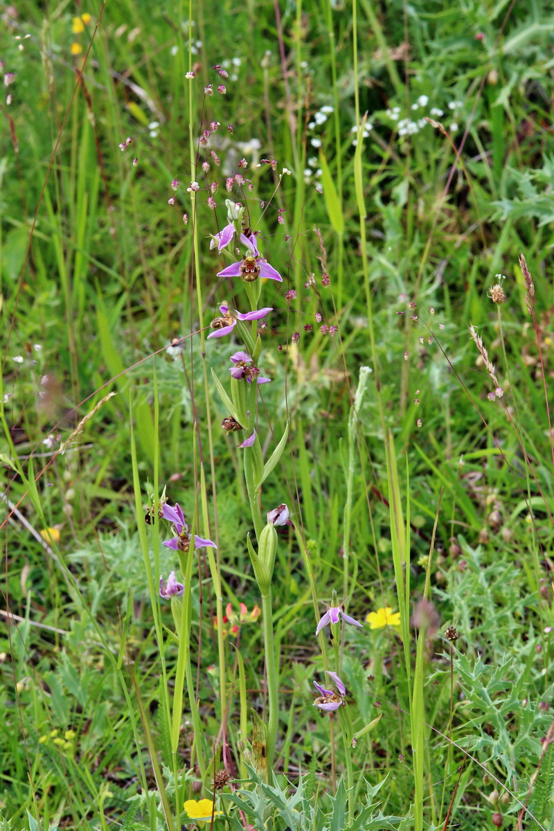 2014_06_15_00046535p_Bildgr��e �ndern