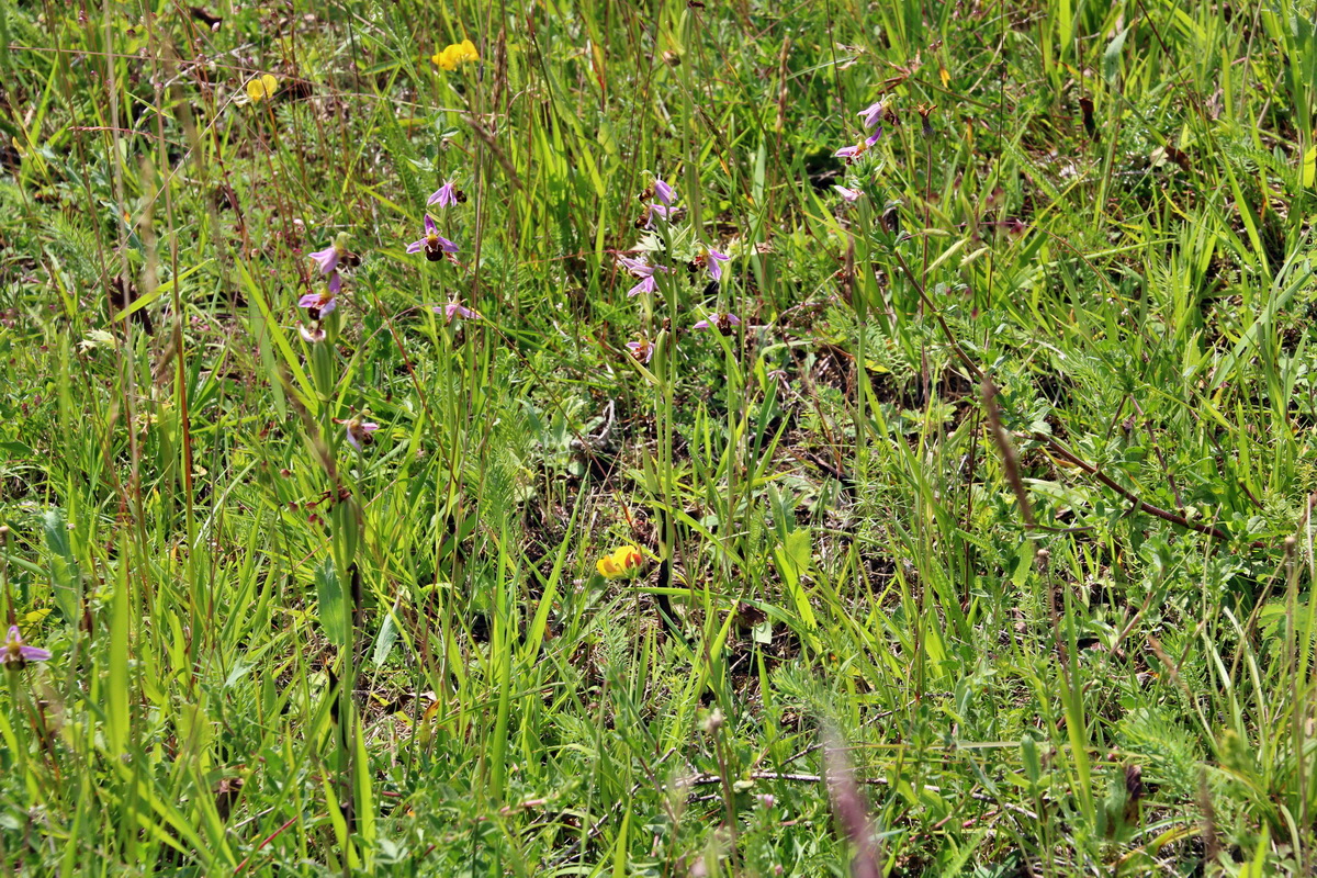 2014_06_15_00046576p_Bildgr��e �ndern