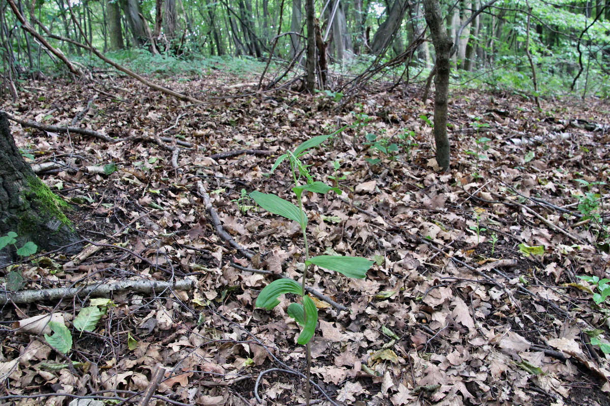 2014_06_15_00046586p_Bildgr��e �ndern