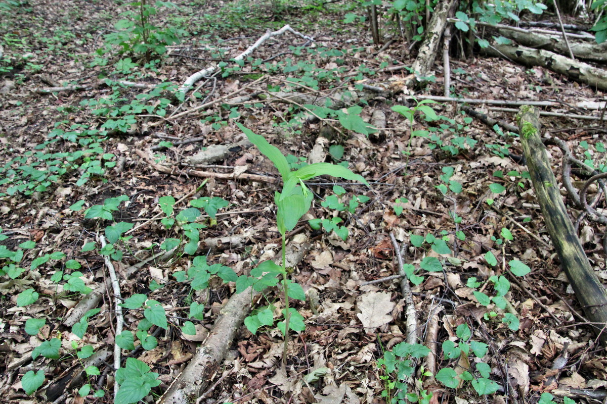 2014_06_15_00046590p_Bildgr��e �ndern