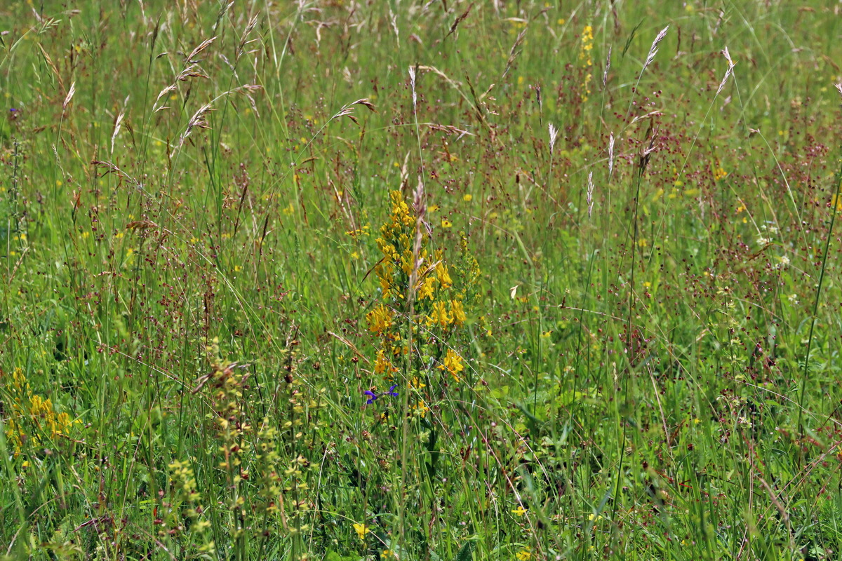 2014_06_15_00046631p_Bildgr��e �ndern