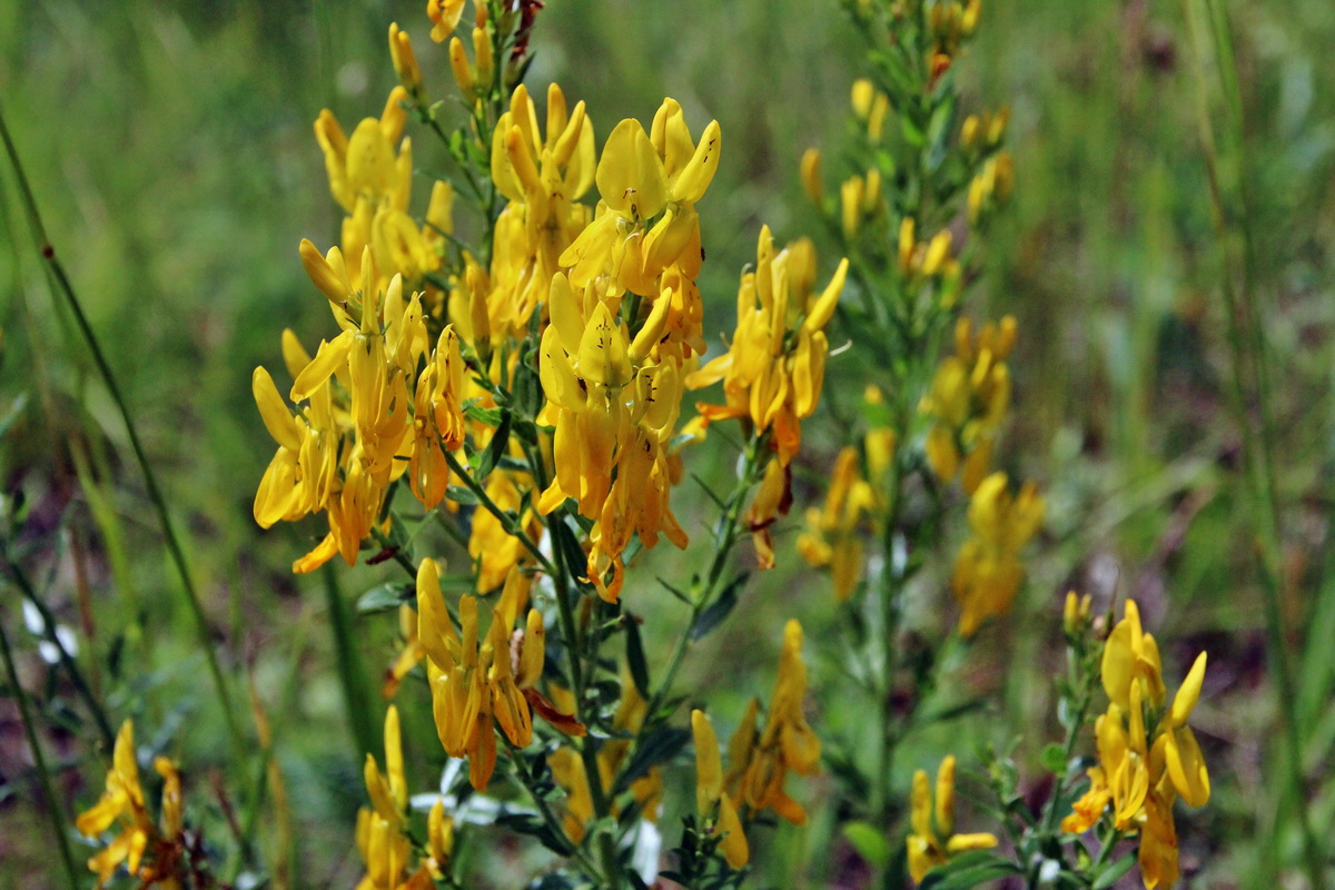 2014_06_15_00046635p_Bildgr��e �ndern