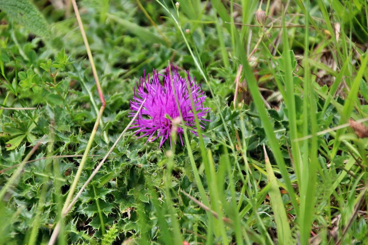 2014_06_15_00046636p_Bildgr��e �ndern