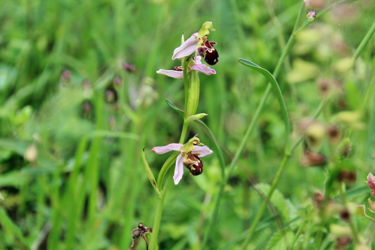 2014_06_15_00046641p_Bildgr��e �ndern