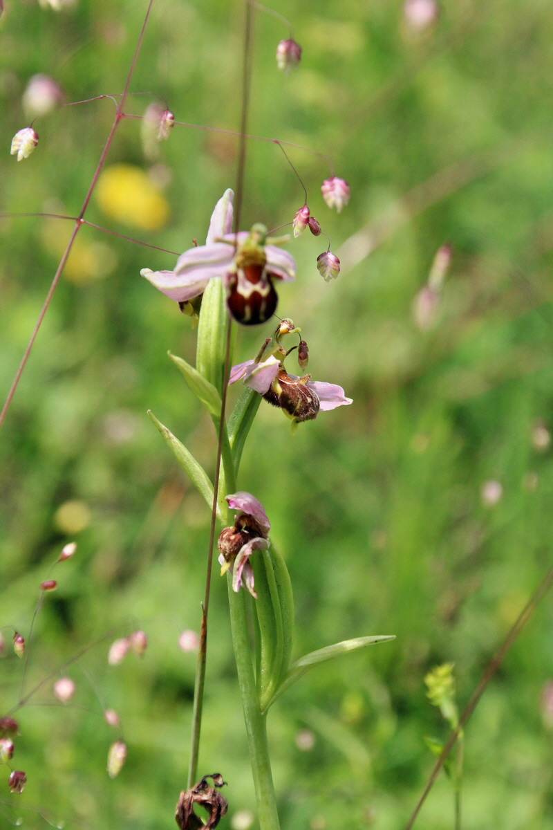 2014_06_15_00046644p_Bildgr��e �ndern