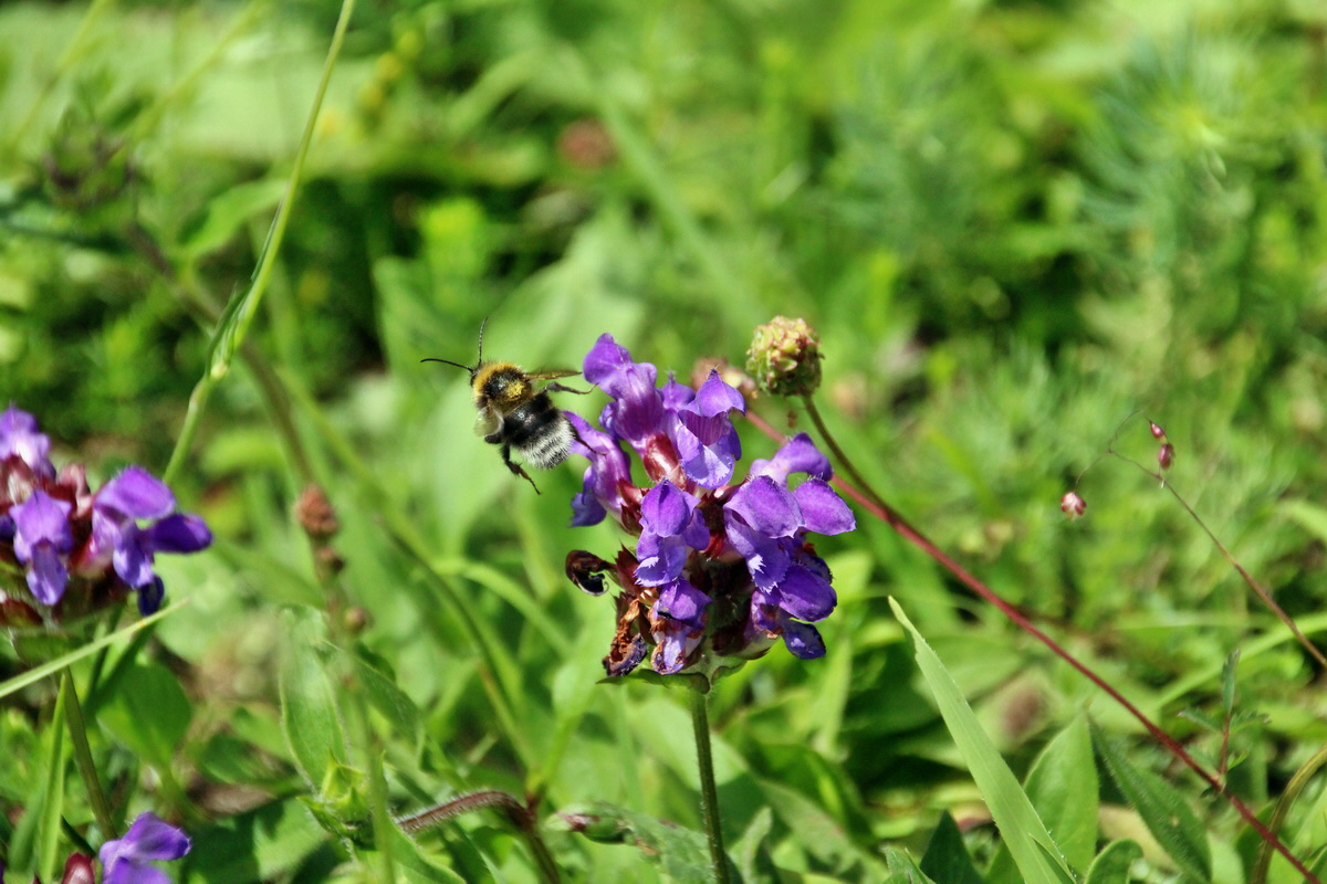 2014_06_15_00046655p_Bildgr��e �ndern