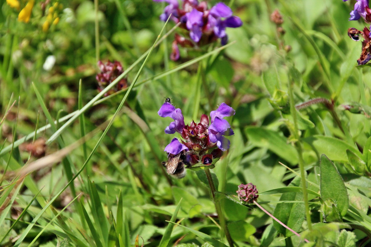 2014_06_15_00046658p_Bildgr��e �ndern