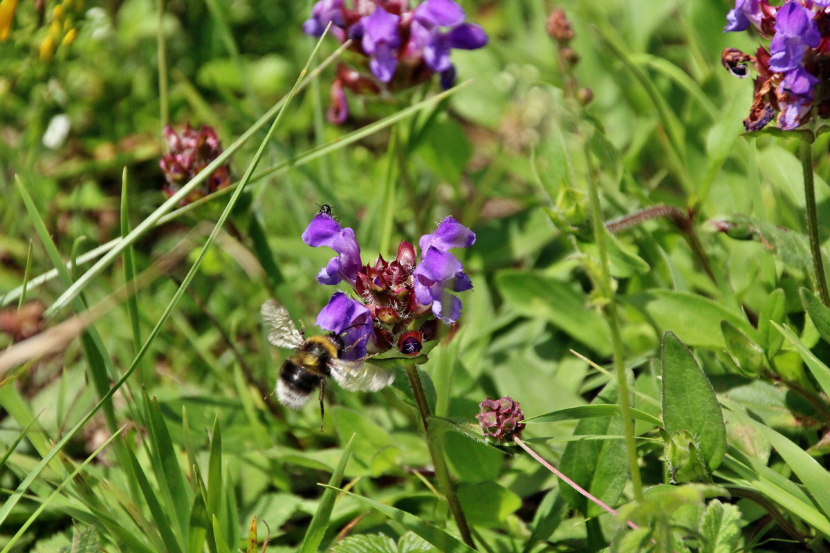 2014_06_15_00046664p_Bildgr��e �ndern