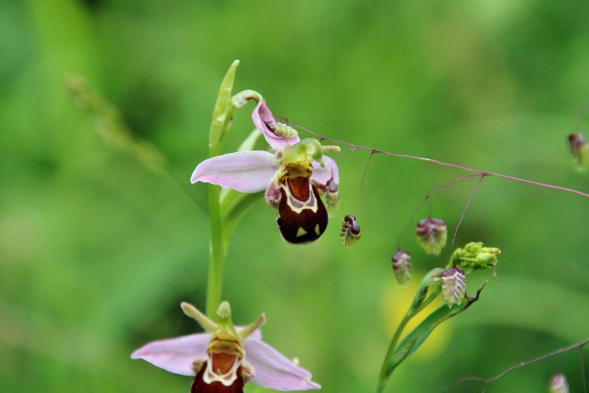 2014_06_15_00046673p_Bildgr��e �ndern