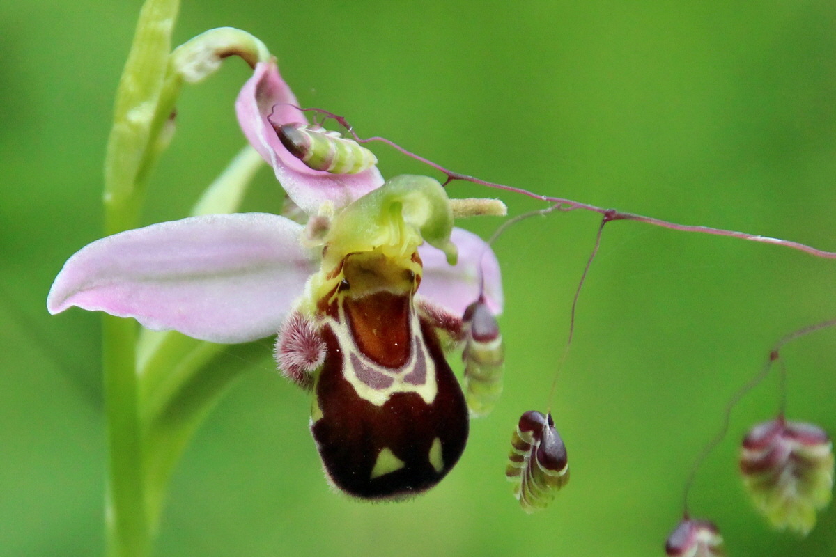 2014_06_15_00046673pa_Bildgr��e �ndern