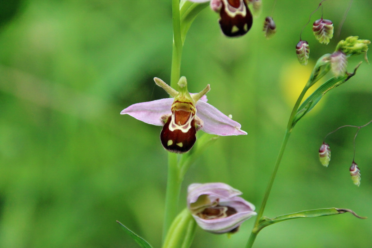 2014_06_15_00046676p_Bildgr��e �ndern