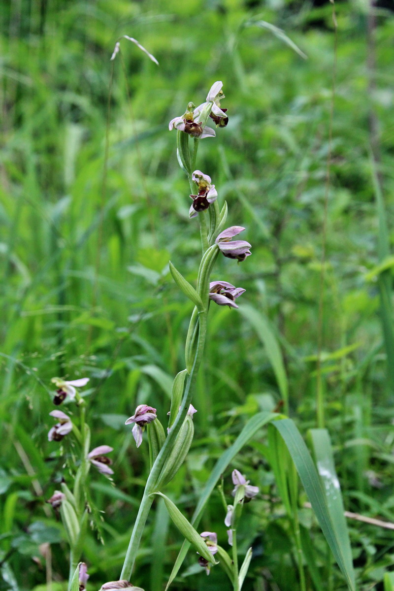 2014_06_15_00046688p_Bildgr��e �ndern