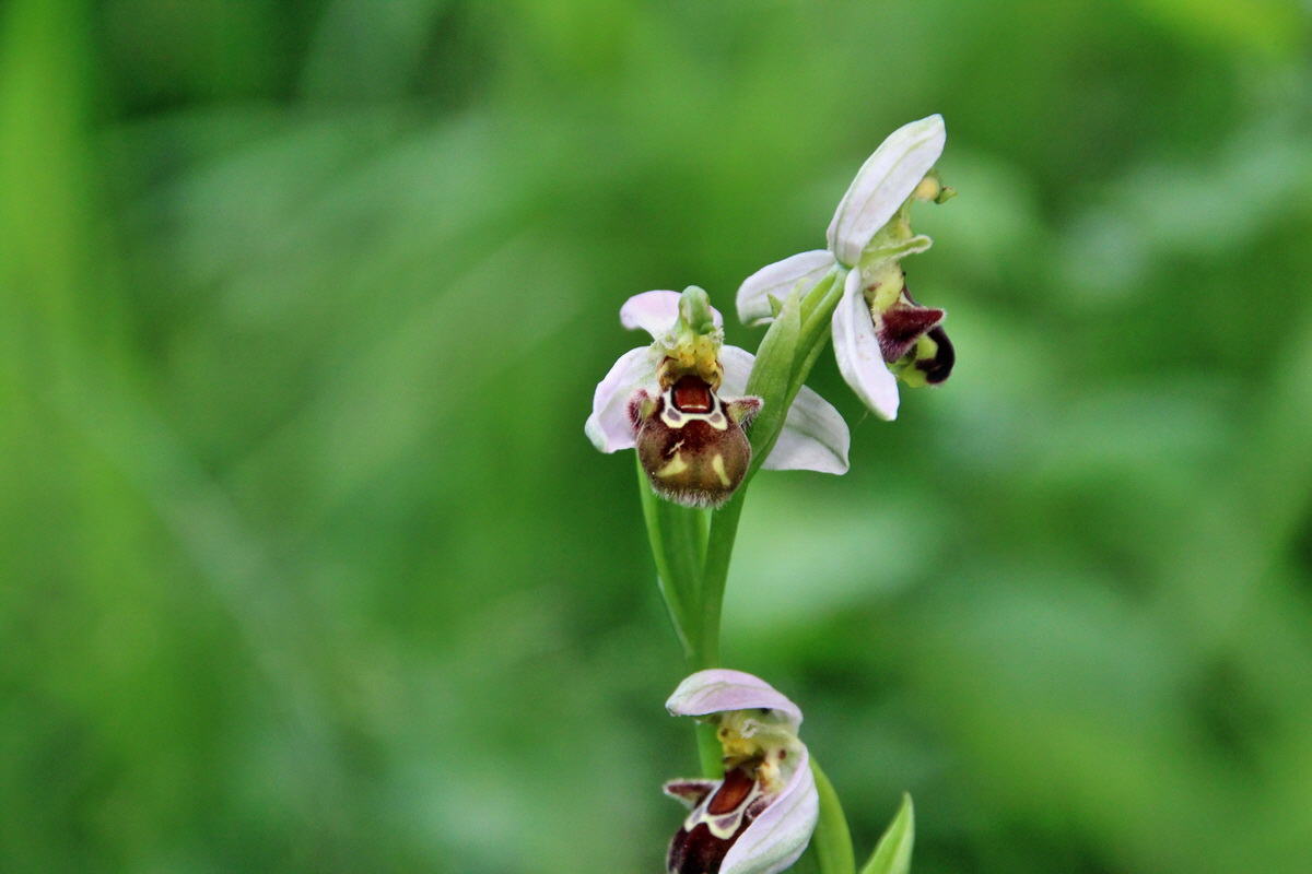 2014_06_15_00046690p_Bildgr��e �ndern