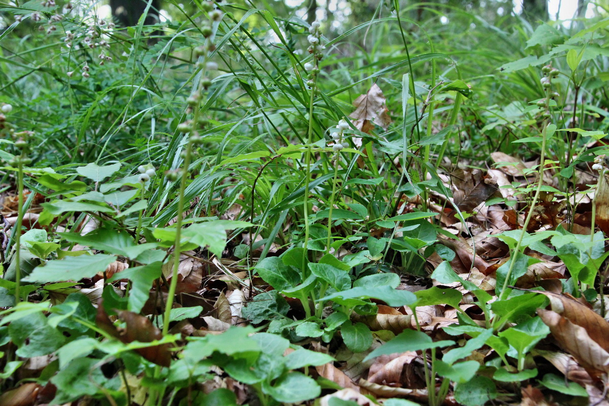 2014_06_16_00046722p_Bildgr��e �ndern