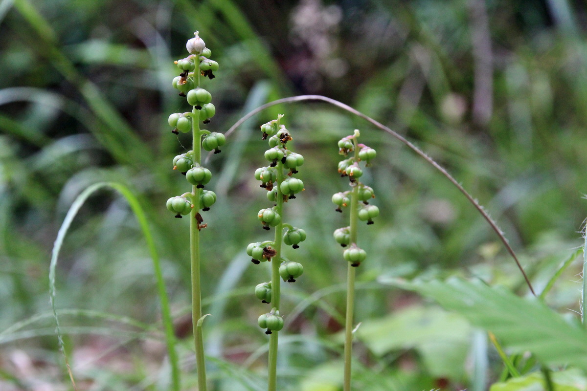 2014_06_16_00046724p_Bildgr��e �ndern