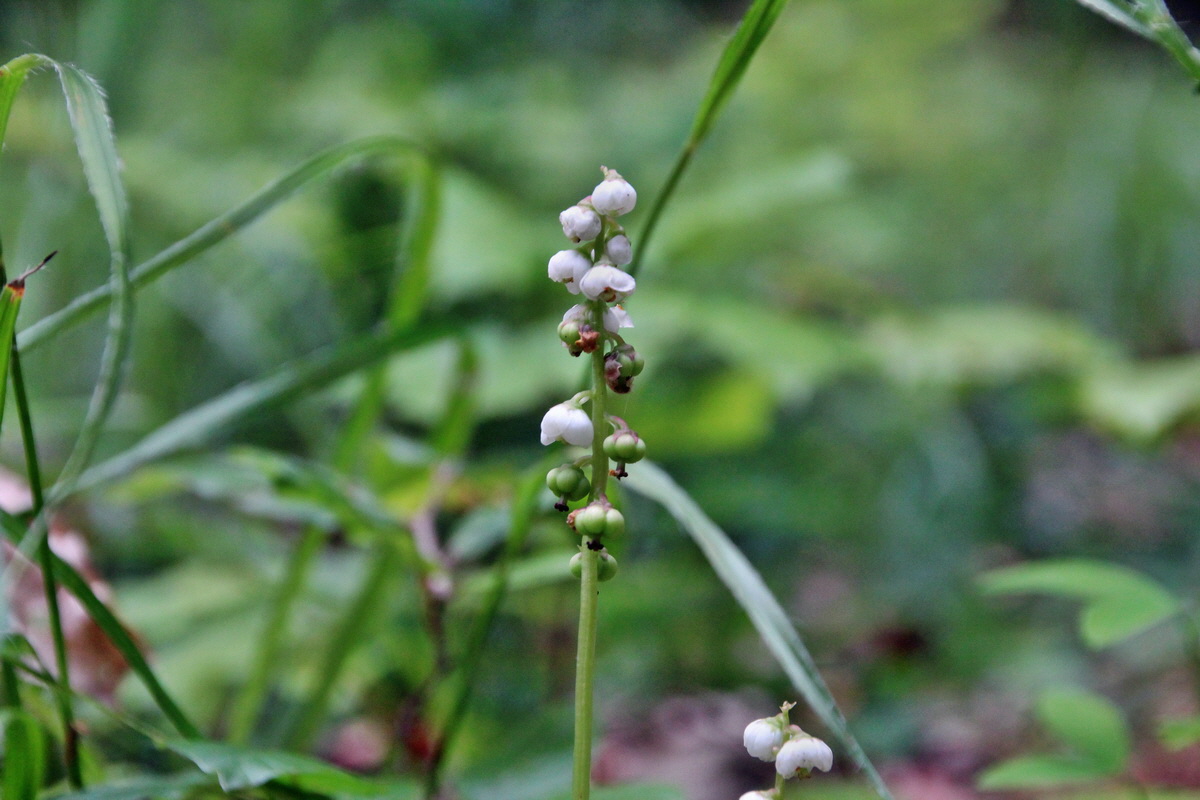 2014_06_16_00046729p_Bildgr��e �ndern