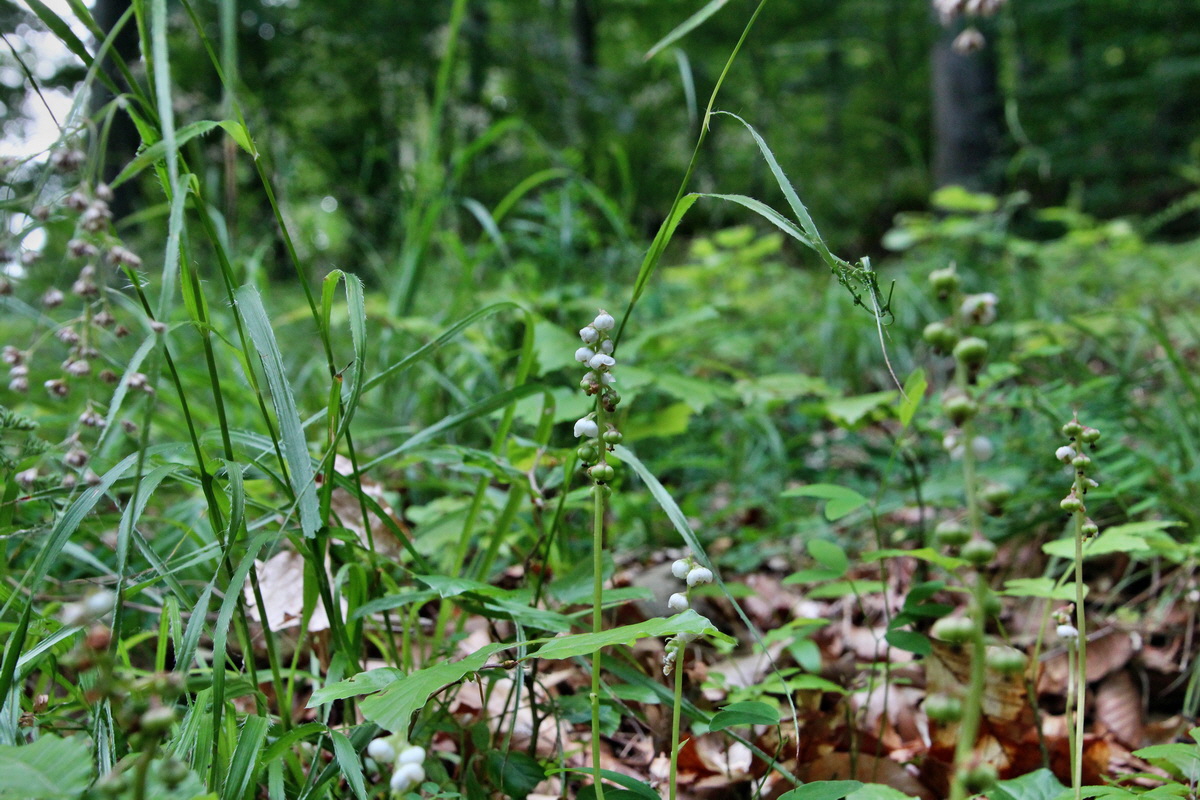 2014_06_16_00046731p_Bildgr��e �ndern