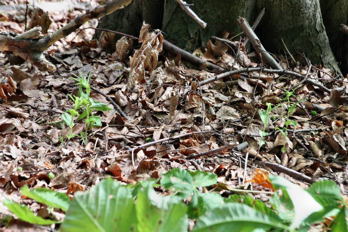 2014_06_16_00046740p_Bildgr��e �ndern