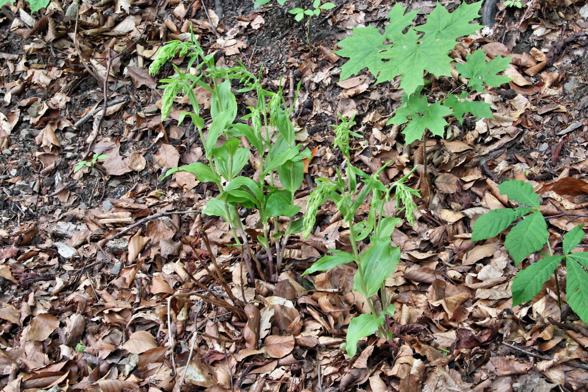 2014_06_16_00046742p_Bildgr��e �ndern