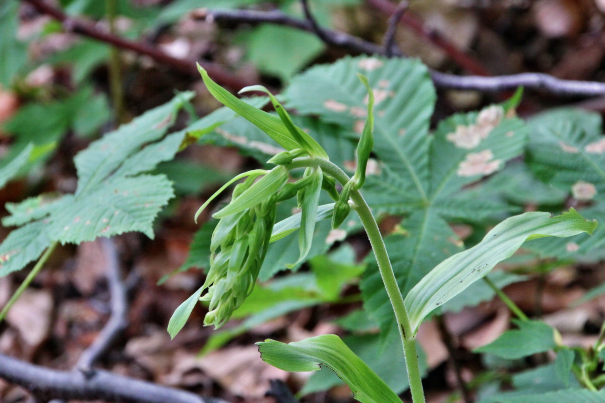 2014_06_16_00046746p_Bildgr��e �ndern