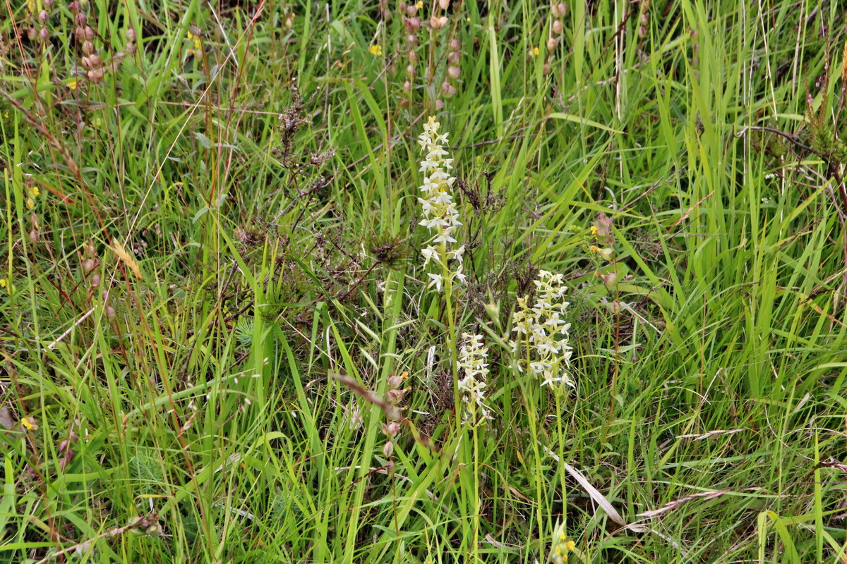 2014_06_16_00046806p_Bildgr��e �ndern