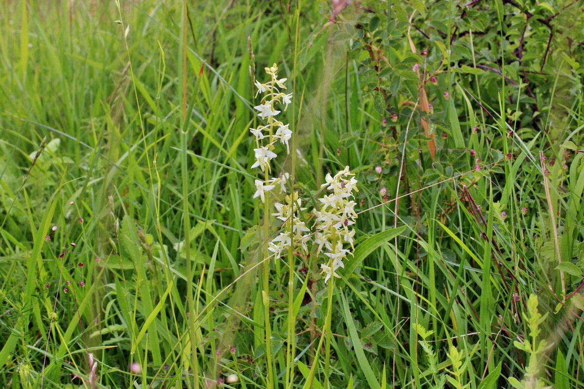 2014_06_16_00046812p_Bildgr��e �ndern