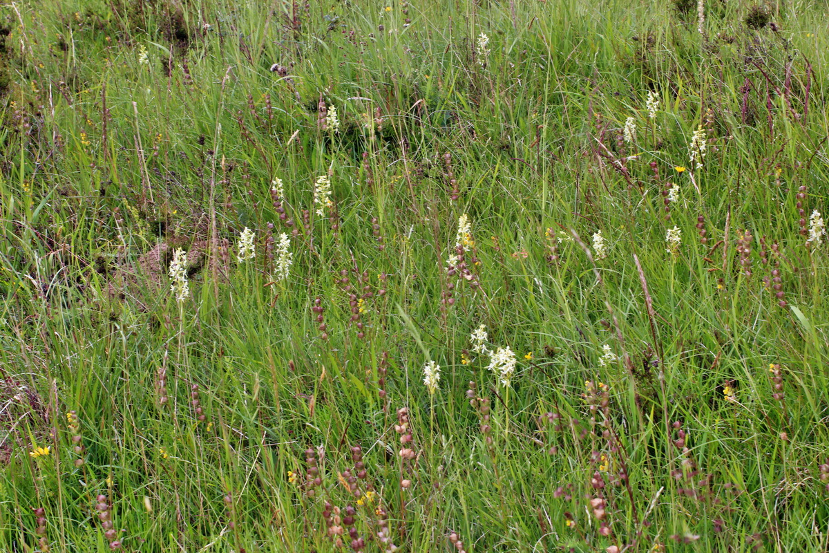 2014_06_16_00046813p_Bildgr��e �ndern