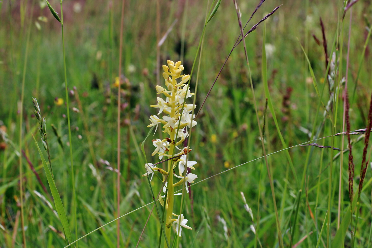 2014_06_16_00046816p_Bildgr��e �ndern