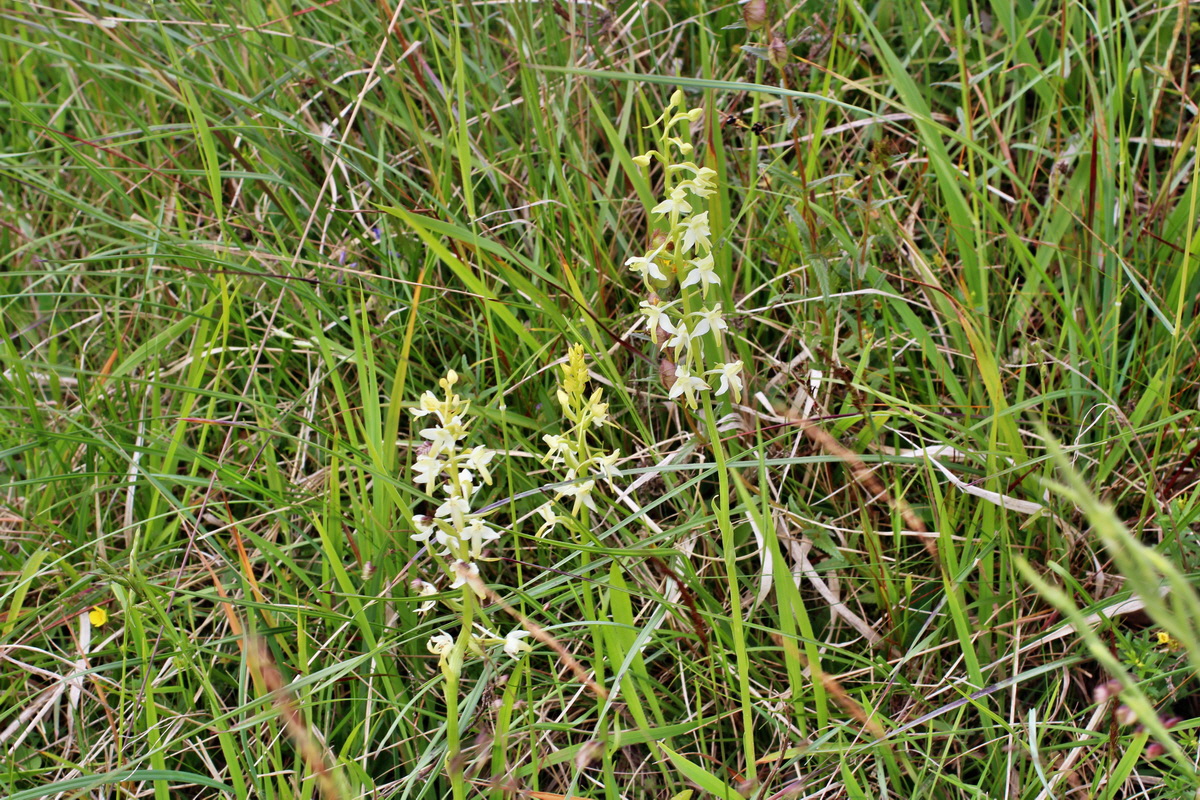 2014_06_16_00046821p_Bildgr��e �ndern