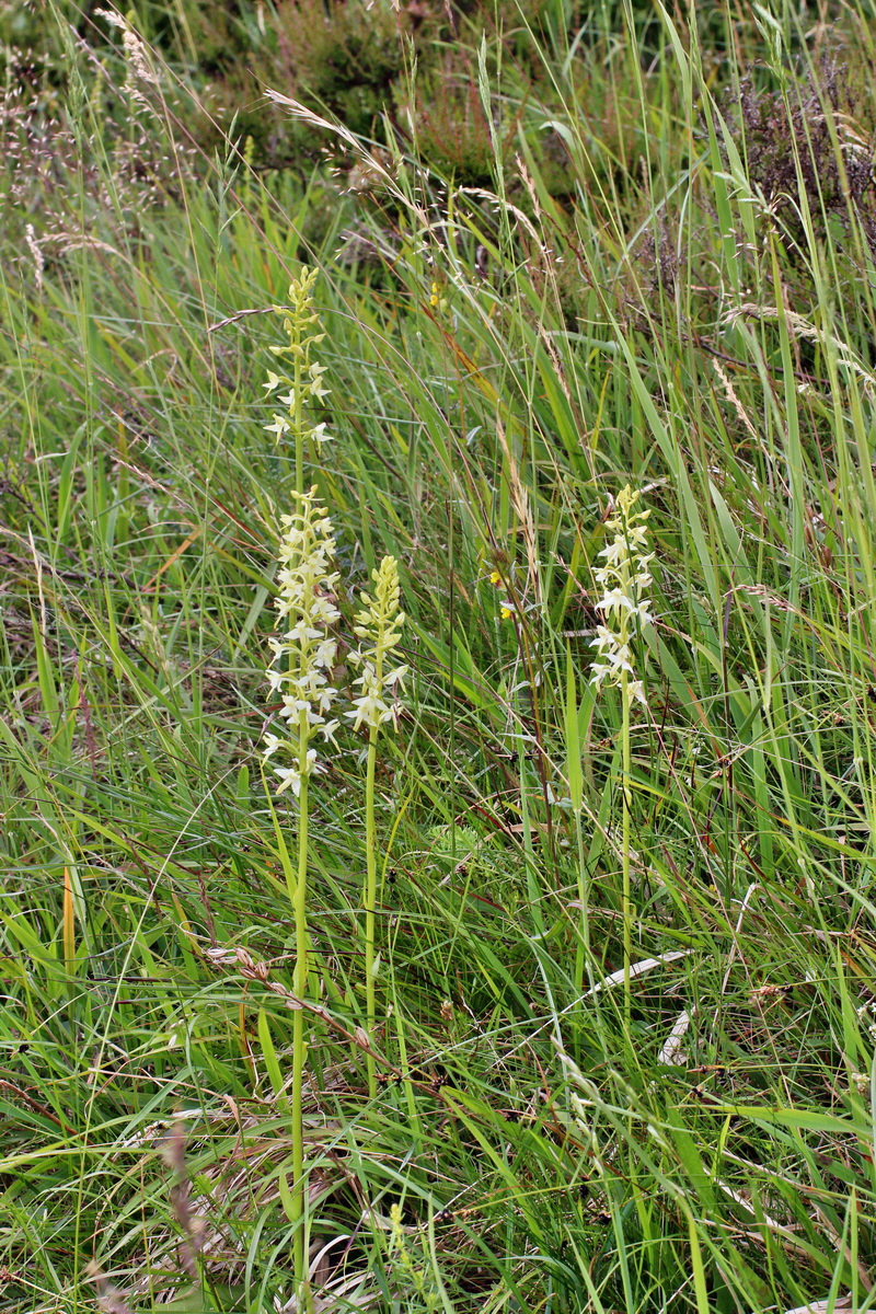 2014_06_16_00046824p_Bildgr��e �ndern