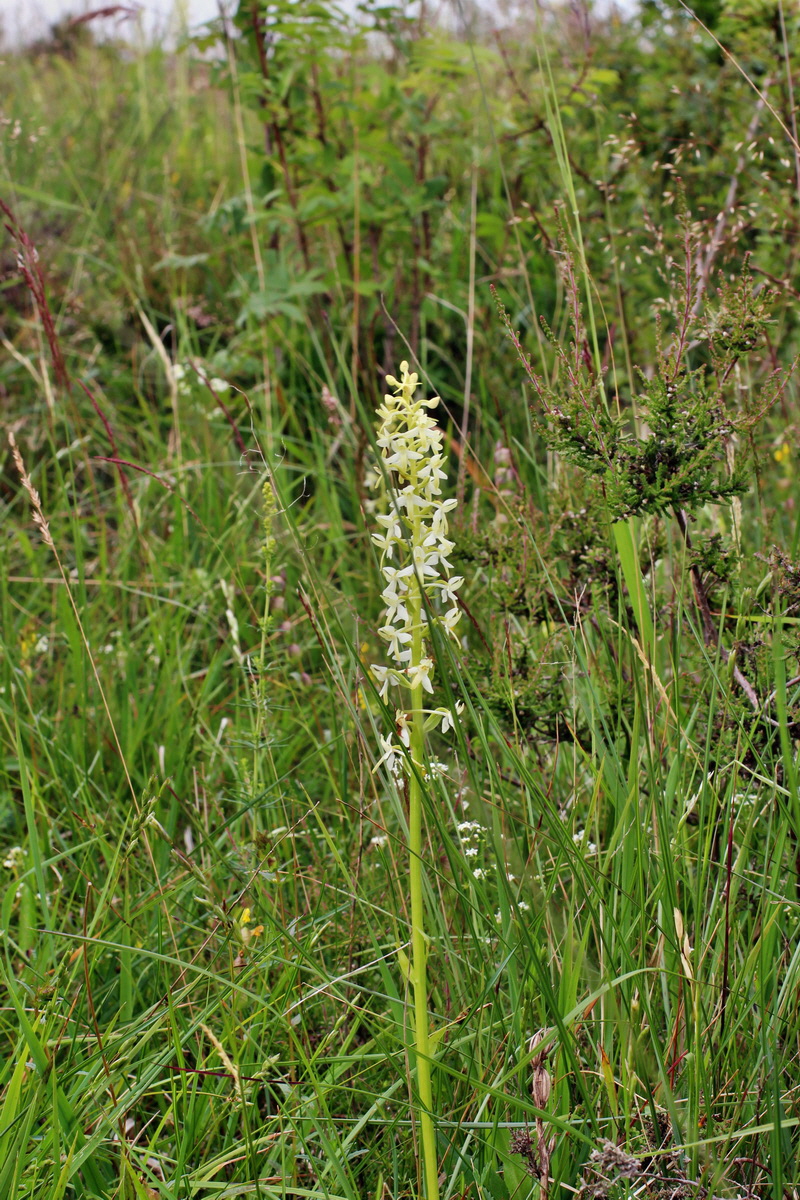 2014_06_16_00046827p_Bildgr��e �ndern