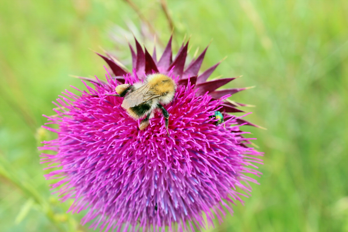 2014_06_16_00046850p_Bildgr��e �ndern