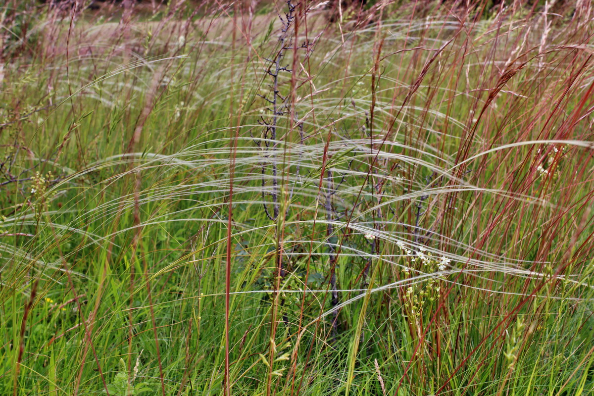 2014_06_16_00046858p_Bildgr��e �ndern