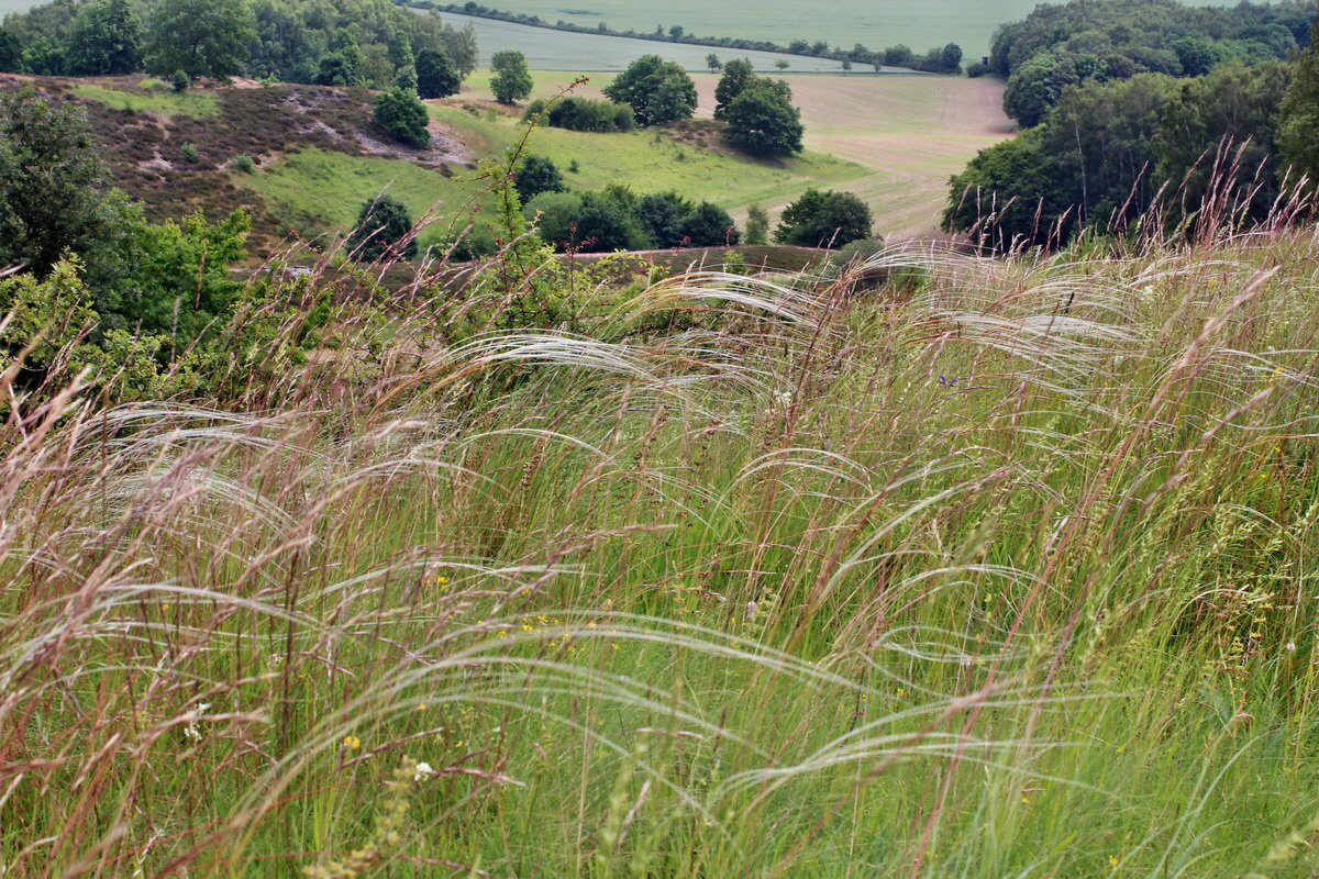 2014_06_16_00046861p_Bildgr��e �ndern