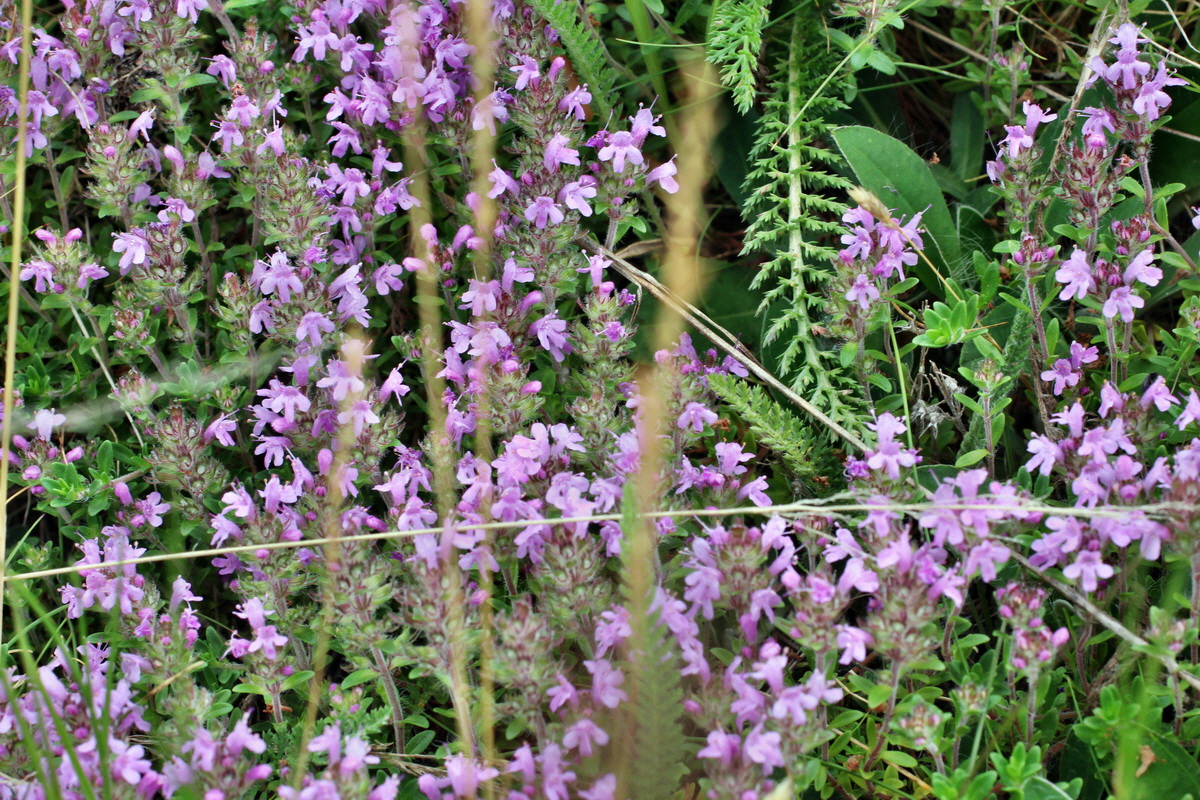 2014_06_16_00046879p_Bildgr��e �ndern