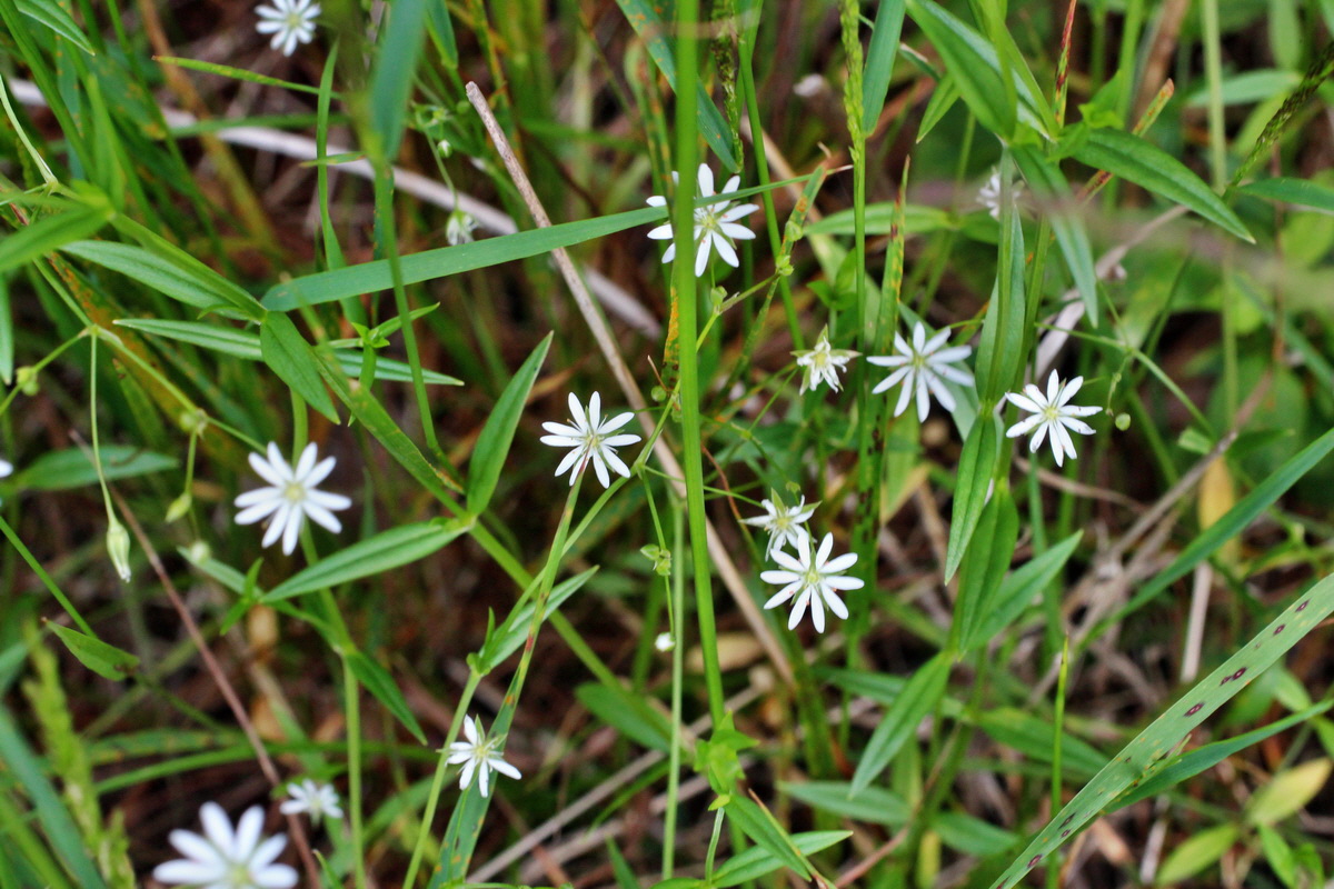 2014_06_17_00046948p_Bildgr��e �ndern