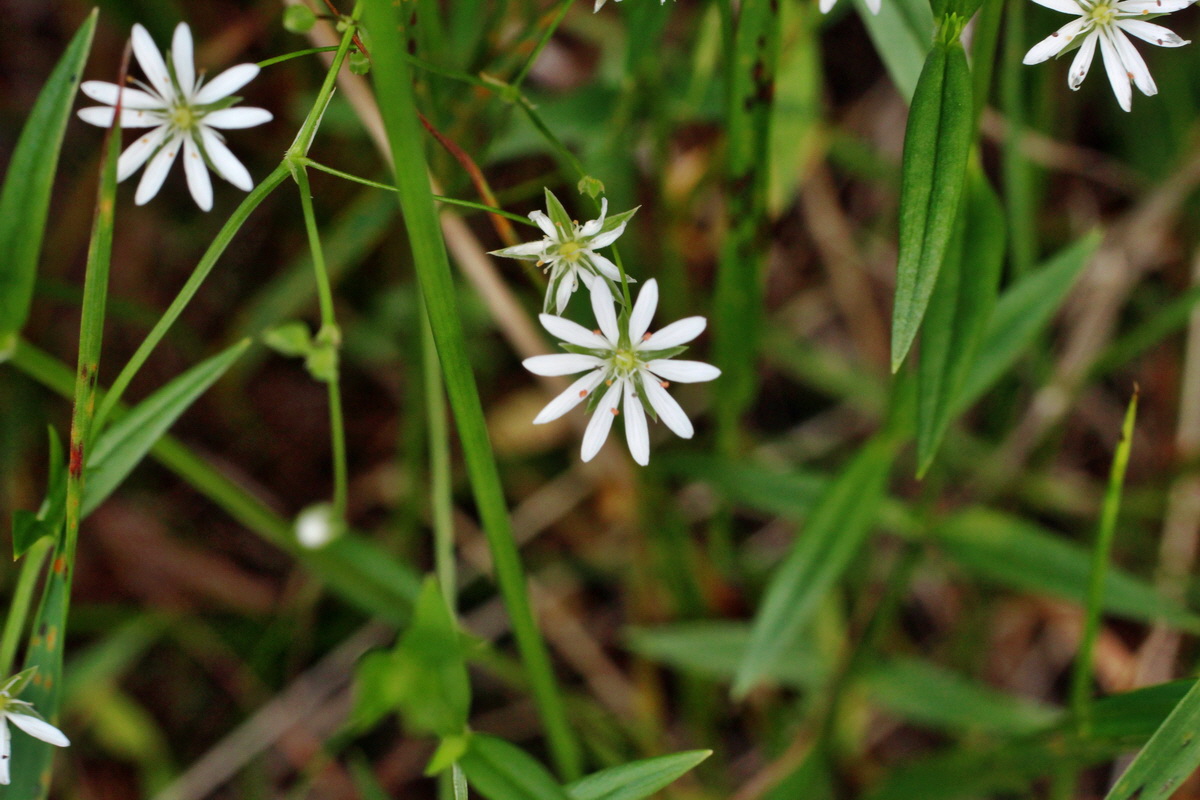 2014_06_17_00046950p_Bildgr��e �ndern