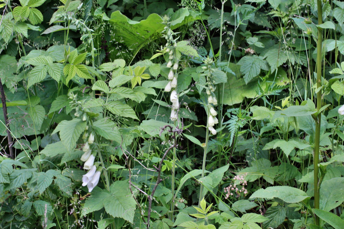 2014_06_17_00046955p_Bildgr��e �ndern