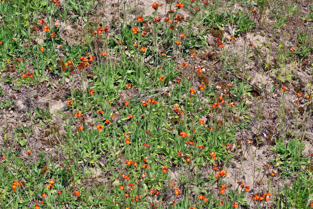 2014_06_17_00046969p_Bildgr��e �ndern