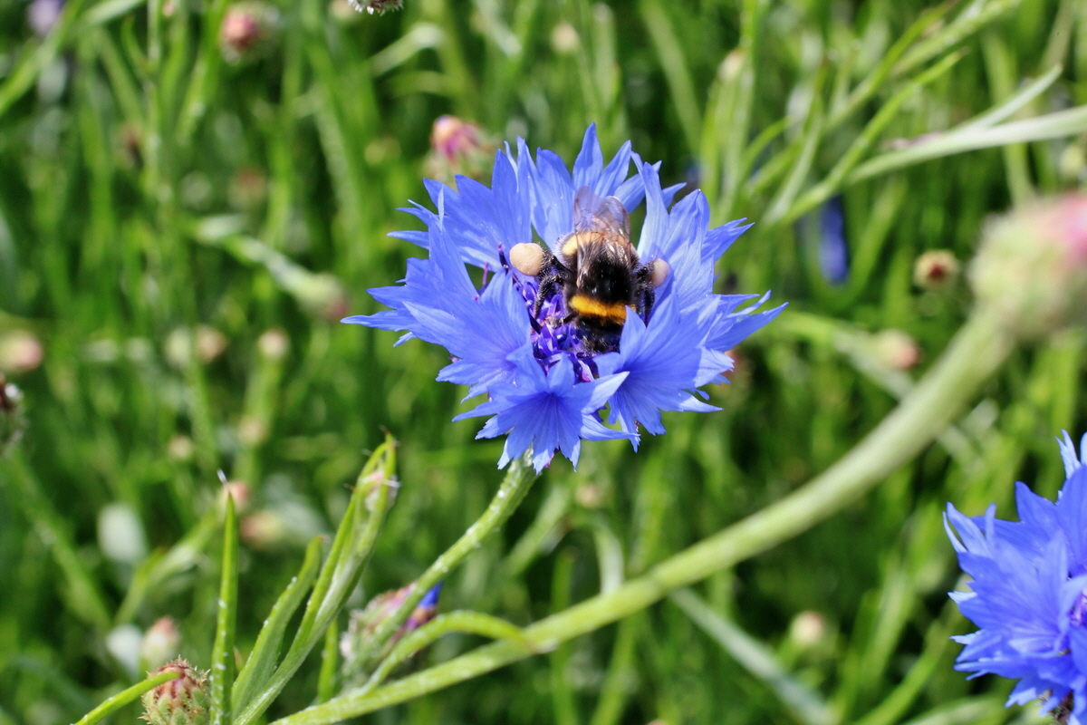 2014_06_17_00047000p_Bildgr��e �ndern