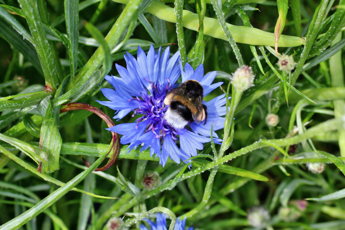 2014_06_17_00047020p_Bildgr��e �ndern