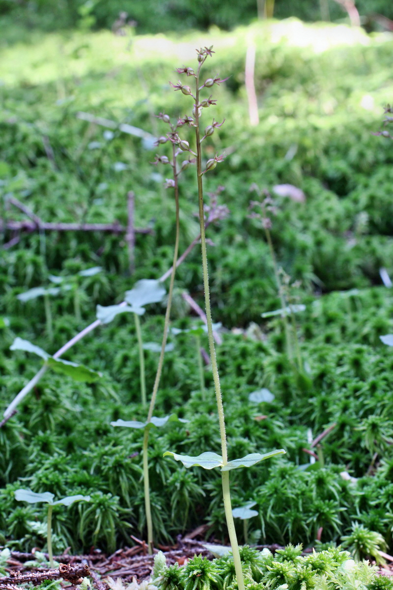 2014_06_18_00047056p_Bildgr��e �ndern