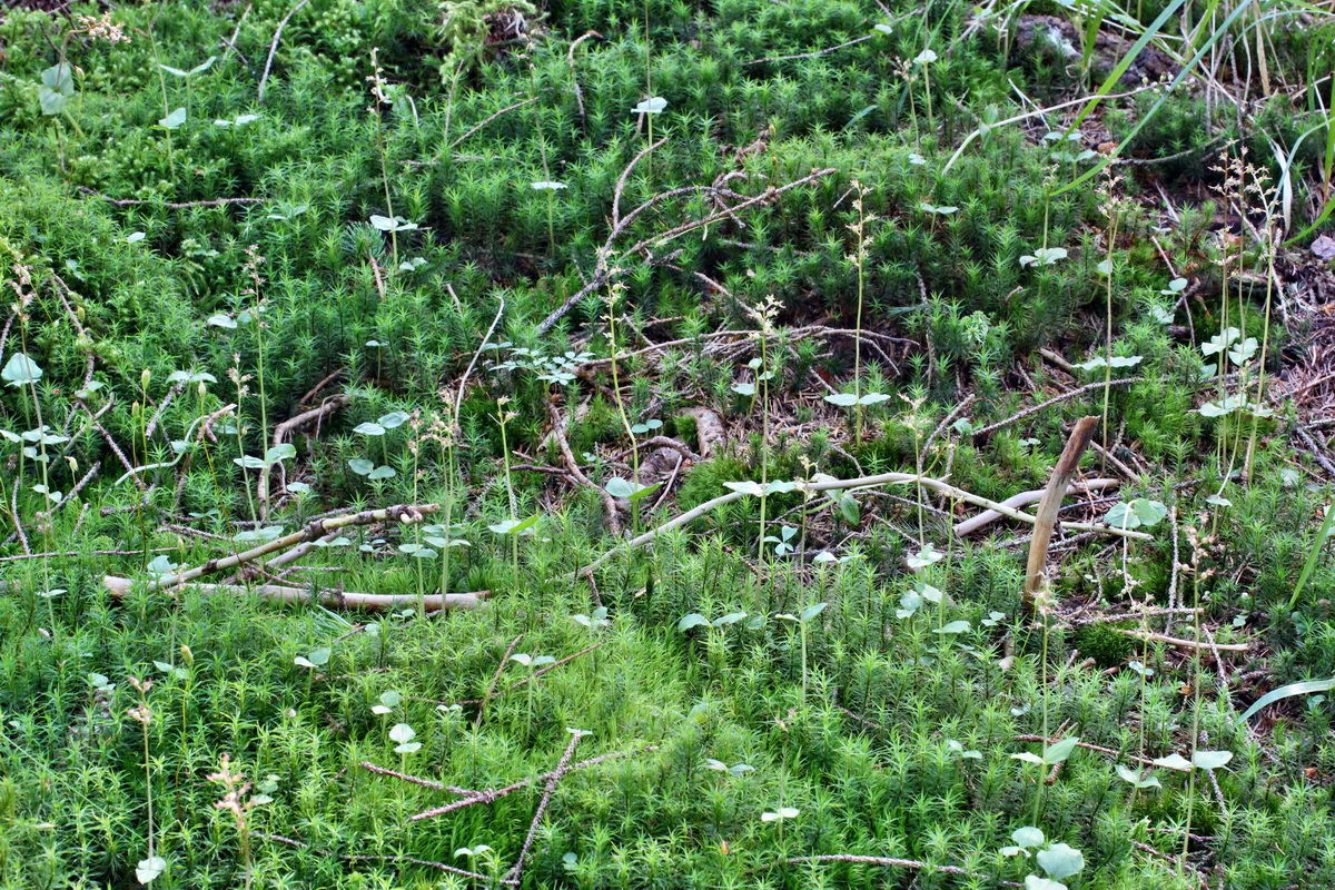 2014_06_18_00047066p_Bildgr��e �ndern