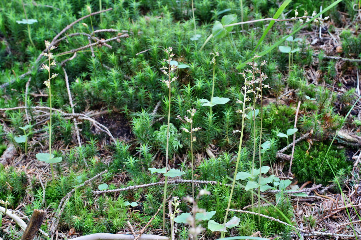 2014_06_18_00047073p_Bildgr��e �ndern