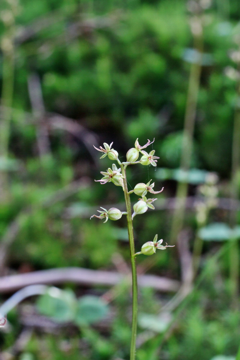 2014_06_18_00047081p_Bildgr��e �ndern